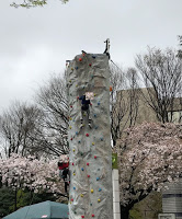 スポーツクライミングの裏側