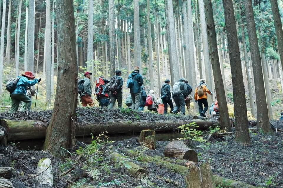 ときがわの山で実感した、“木を受け継ぐ”ということ