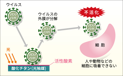 光触媒による抗ウイルスの仕組み