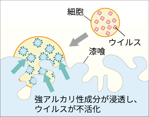 漆喰によるウイルス不活化の仕組み