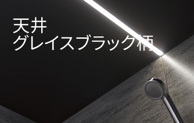 Oflora天井グレイスブラック柄