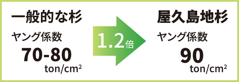 一般的な杉と屋久島地杉のヤング係数の比較
